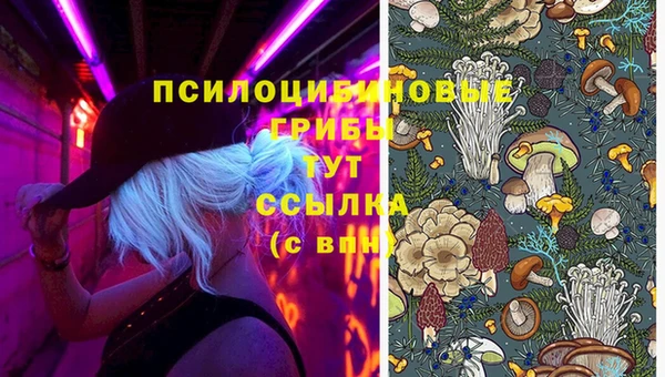 каннабис Алексеевка