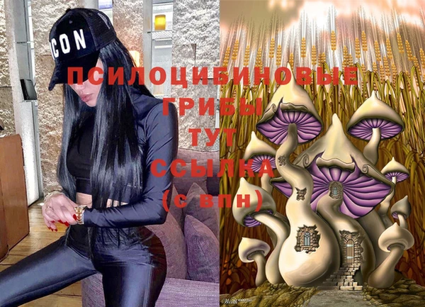 меф Протвино