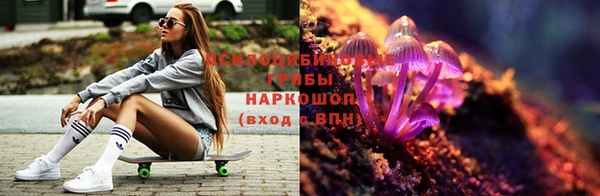 дживик Абаза
