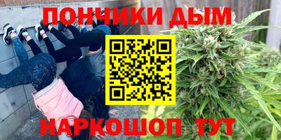 кокс Можга