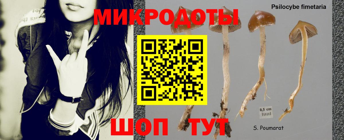 Ухта  Галлюциногенные грибы Psilocybine cubensis  Псилоцибиновые грибы Magic Shrooms  Вход с VPN 