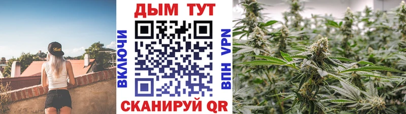 Бошки марихуана план  купить наркотики сайты  Ухта 